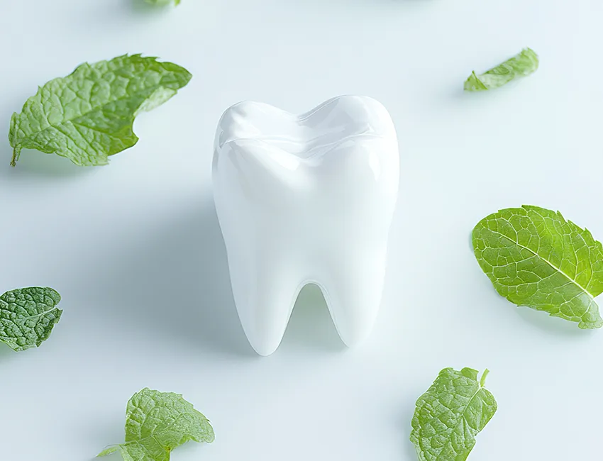 Holistic Dentistry at West Hollywood Dental Studio
